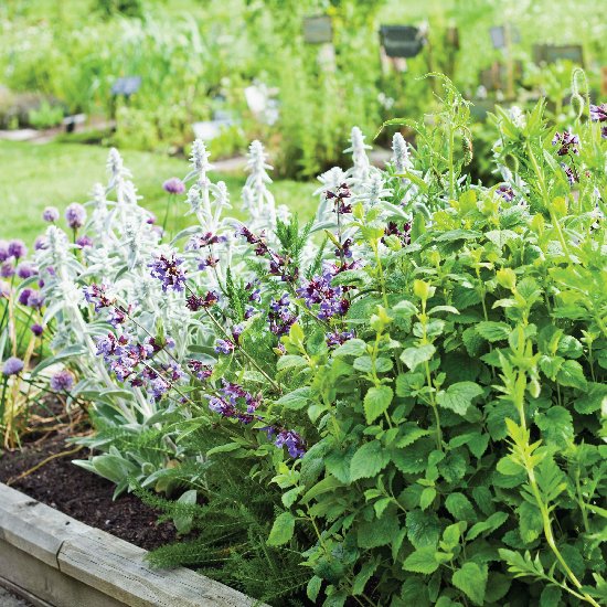 godrej-astra-sector-54