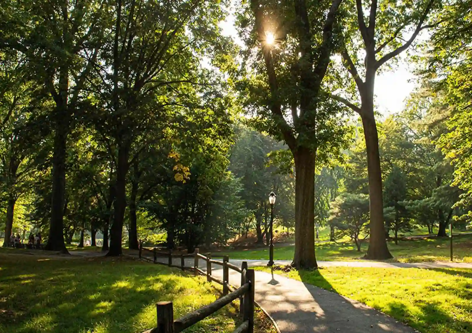 Godrej Vrikshya Sector 103 Gurgaon - Greenery